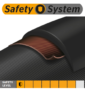 Safety system